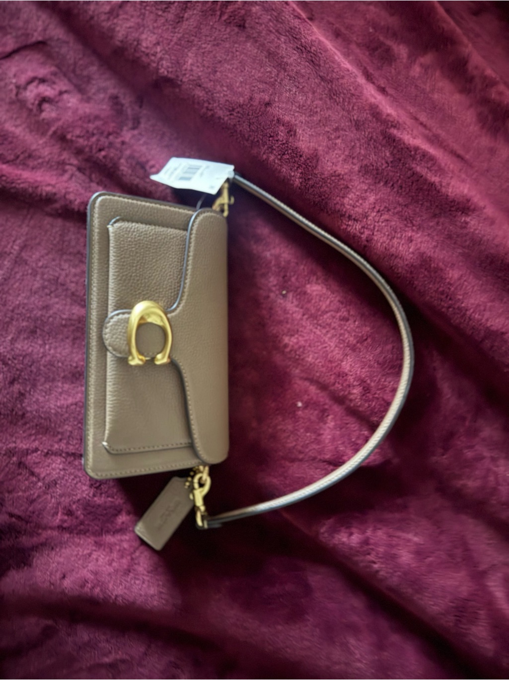 Coach Tabby Leather Mini Shoulder Bag In Taupe With Gold Hardware